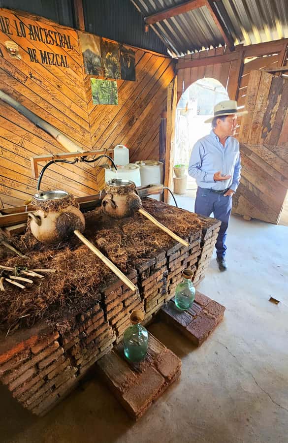 Oaxaca: full-day tour of Monte Alban, ancestral mezcal, alebrijes, and black mud - Black mud pottery at San Bartolo Coyotepec: the color is the story