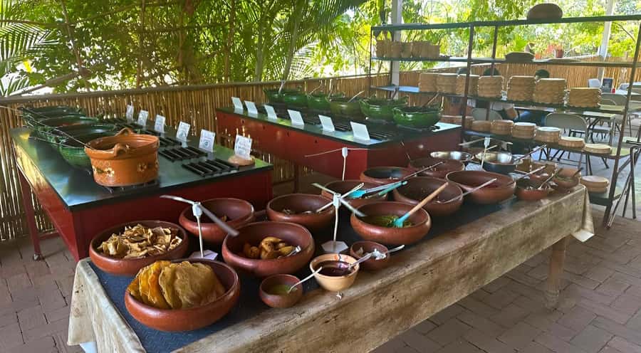 Oaxaca: full-day tour of Monte Alban, ancestral mezcal, alebrijes, and black mud - Getting from stop to stop: small-group comfort and safe transport