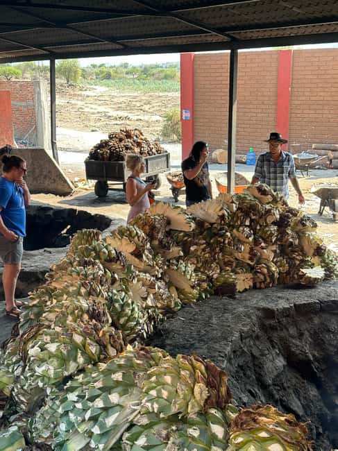Oaxaca: Hierve el Agua & Mezcal Distillery Small-Group Tour - Who This Tour Is Best For, and Who Should Pass