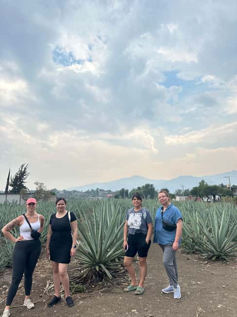 Oaxaca: Hierve el Agua & Mezcal Distillery Small-Group Tour - Hierve el Agua Pools: Two Hours to Explore, Swim, and Walk Carefully