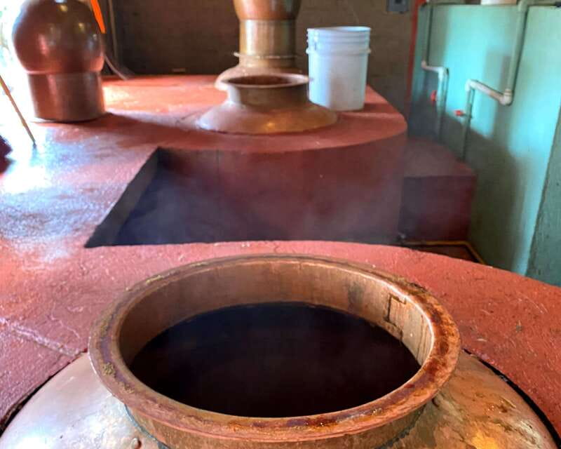 Oaxaca: Mezcal Adventure - Booking it: should you go, or would DIY work better?