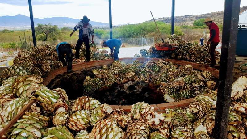 Oaxaca: Mezcal Adventure - Palenque visits at two production styles: rustic tradition vs artisan refinement