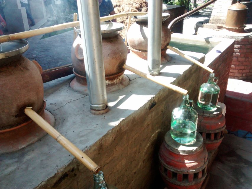 Oaxaca: Mezcal Adventure - Lunch at the final distillery stop: where the food pairs with the learning