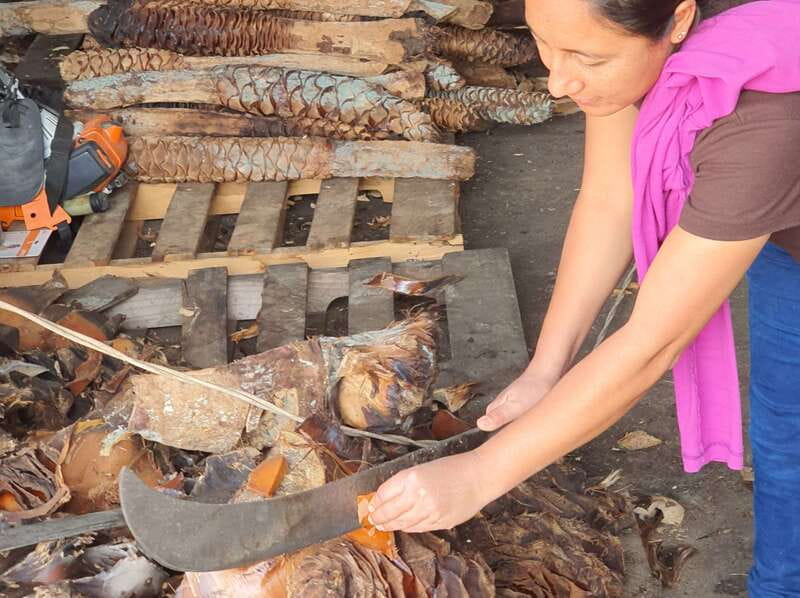 Oaxaca: Mezcal Adventure - Price and value: what $113 buys in a 7-hour full-day format