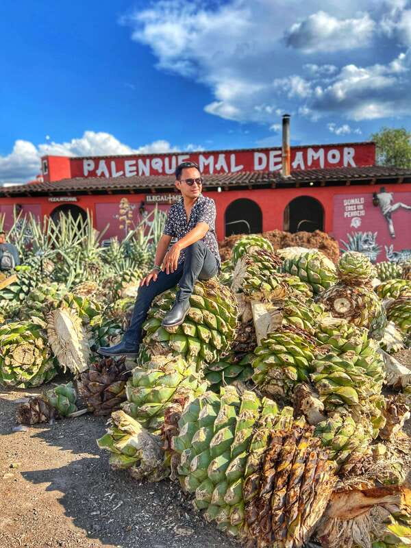 Oaxaca: Monte Albán, Hierve el agua, Mezcal and Teotitlán - The value of a 9-hour private day that includes admissions