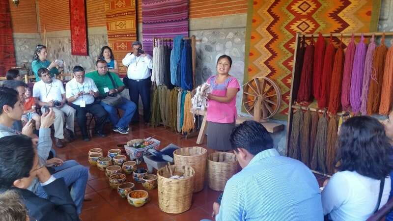 Oaxaca: Tule, Mitla & Hierve el Agua, & Mezcal Tour - Key highlights you will actually care about