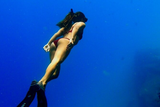 Ocean Safari Tour in Cabo San Lucas - Snorkeling When Conditions Allow: Gear, Safety, and the Best Mindset