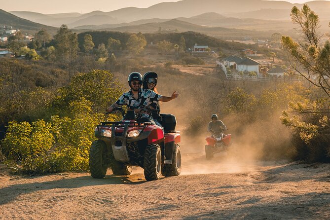 Off Road Tour Experience plus Winery visit in Baja - Don Tomás Vineyard stop: your 30 minutes to taste and take photos