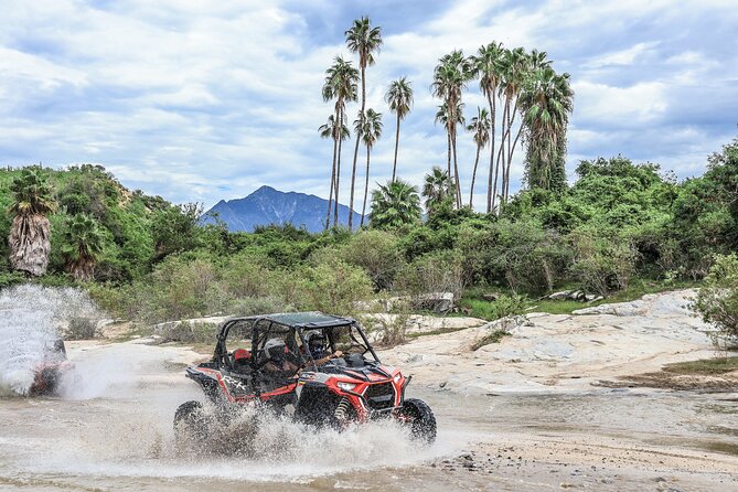 OffRoad 4X4 UTV Adventure with unlimited Lunch & Tequila - Baja desert UTVs from San Jose del Cabo, not beach Cabo
