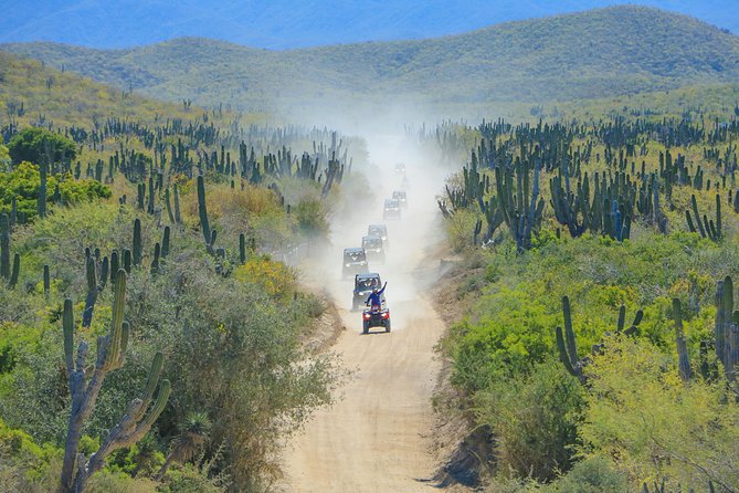 OffRoad 4X4 UTV Adventure with unlimited Lunch & Tequila - Trail highlights: arroyos, shallow canyons, and the ocean feel