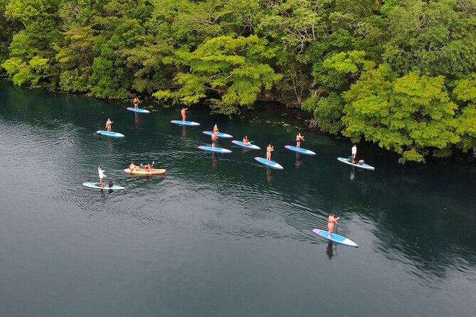Paddle at Dawn with visit to Cenotes and Islands - Key Highlights You Should Know Before You Go