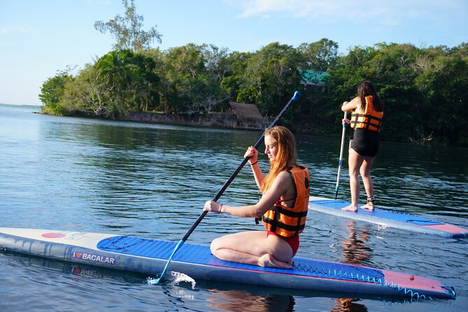 Paddle at Dawn with visit to Cenotes and Islands - Should You Book This Paddle at Dawn with Cenotes and Islands?