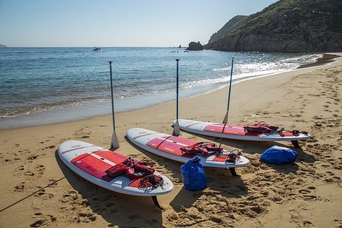 Paddleboard Expedition to the Arch of Cabo San Lucas, Lovers Beach & Snorkel - Pelican Rock Snorkel Stop, Plus Gear Included