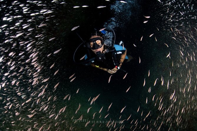 PADI Open Water Course in Cabo San Lucas - Key Highlights