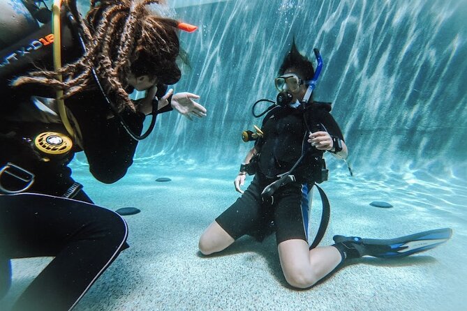 PADI Open Water Course in Cabo San Lucas - Cabo’s Sea Meets Pacific Energy (And Why It Matters for New Divers)