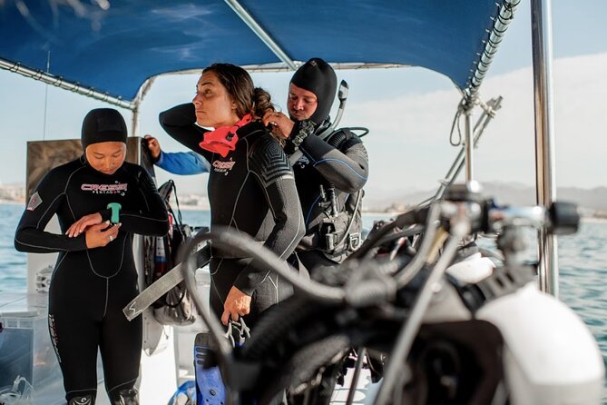 PADI Open Water Course in Cabo San Lucas - The 2-Day Game Plan: Theory, Pool, Then Ocean Sessions