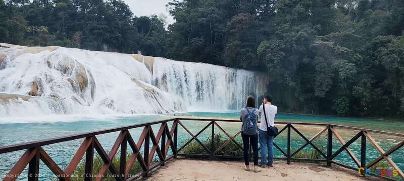 Palenque: Palenque Ruins, Agua Azul Waterfalls and Misol-Ha - Palenque Archaeological Zone: what 3 hours really buys you