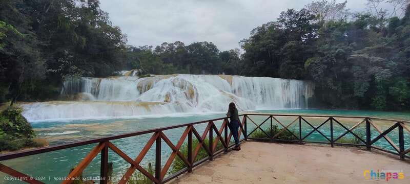 Palenque: Palenque Ruins, Agua Azul Waterfalls and Misol-Ha - Price and value for an 11 to 14 hour day