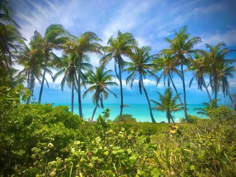 PARADISE ISLAND- ISLA CONTOY AND ISLA MUJERES - The Logistics Reality Check: Waiting, Scheduling, and Why It Can Feel Tight