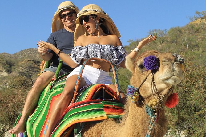 Park Pass at Wild Canyon One Place, Many Adventures - Camel and horse rides, plus how to set expectations