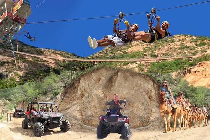 Park Pass at Wild Canyon One Place, Many Adventures - Wild Canyon Kingdom: rescued animals as your midday reset