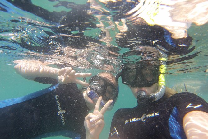 Pelican Rock Snorkeling and Sightseeing Adventure - Snorkeling at Pelican Rock: fish, reef, and reality checks