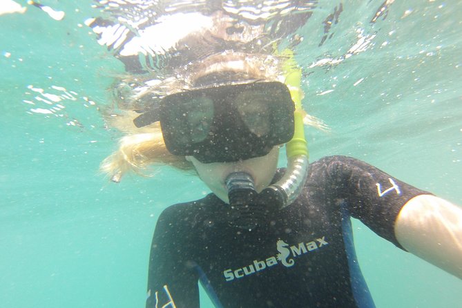 Pelican Rock Snorkeling and Sightseeing Adventure - Guides that help, and what language issues can mean