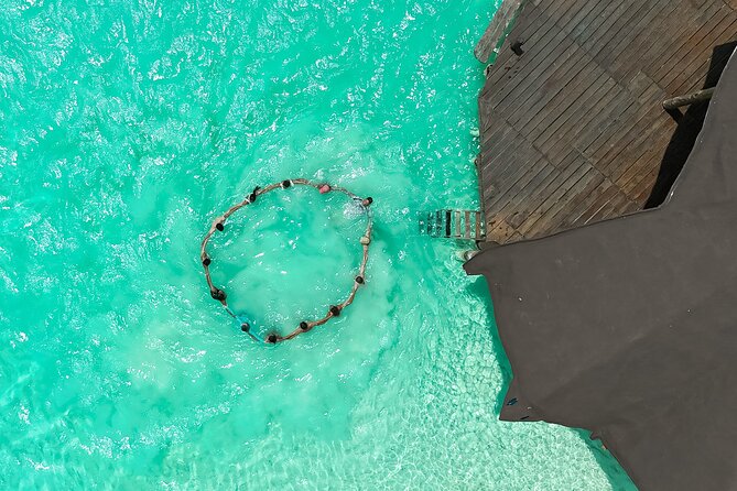 Photography and Filming with drone and camera - Price and Value: $92.60 Per Group for Up to 6