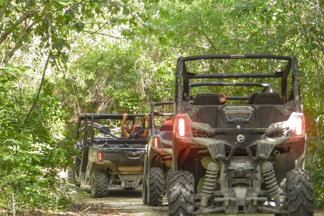 Playa del Carmen Buggy Tour with Cenote Swim and Mayan Village Visit - Cenote swim stop: packing smart and getting the most out of your time