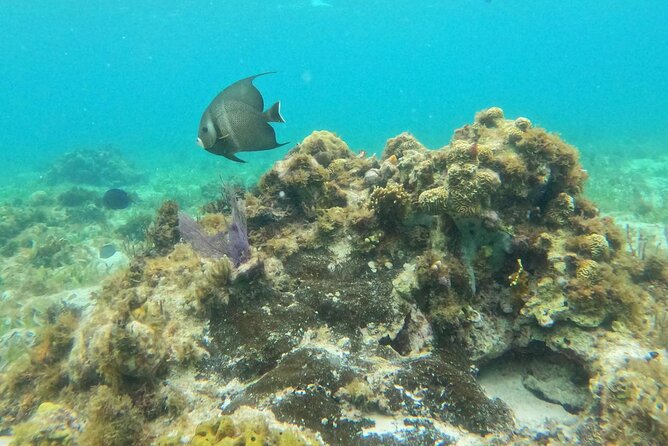 Premium Isla Mujeres Tour by Private Catamaran - Crew service, comfort, and the one thing I would plan around
