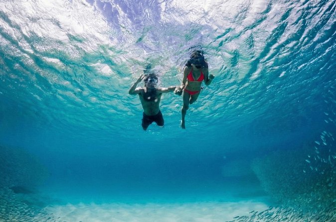 Premium Snorkel Catamaran Cruise in Los Cabos - Onboard Lunch, Unlimited Drinks, and Crew Energy
