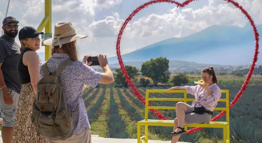 Premium Tequila Tour with a professional tasting - From agave fields to tasting glasses, the shape of the day