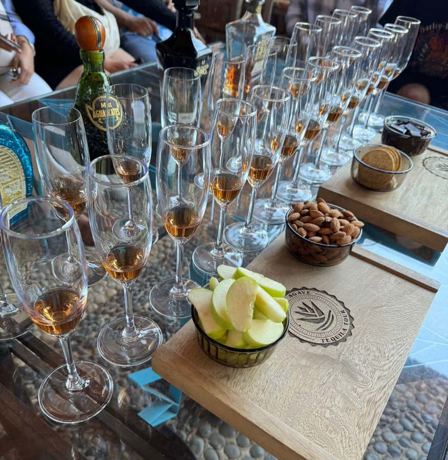 Premium Tequila Tour with a professional tasting - Amatitán viewpoint, Tequila volcano views, and giant swings