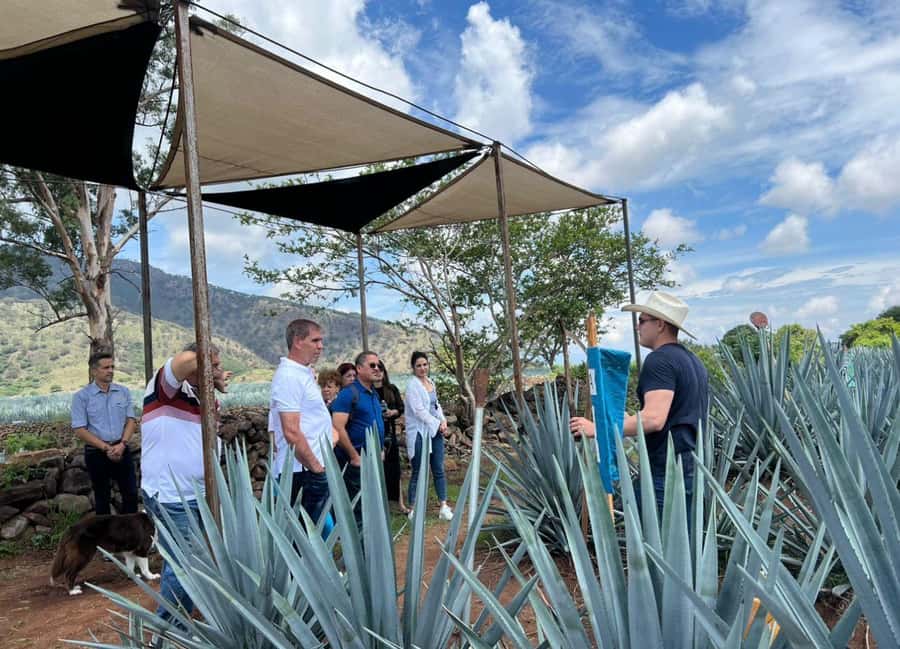 Premium Tequila Tour with a professional tasting - Price and what you really get for $64
