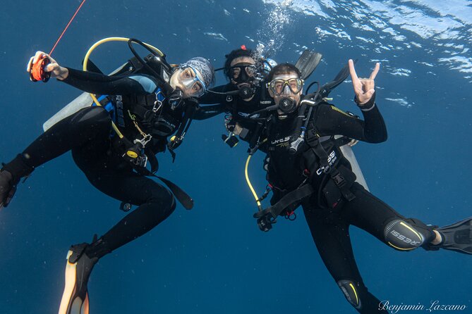 Private Beginner Scuba Diving Experience in Cabo San Lucas - Exploring Near El Arco: What You Can See and How Depth Works