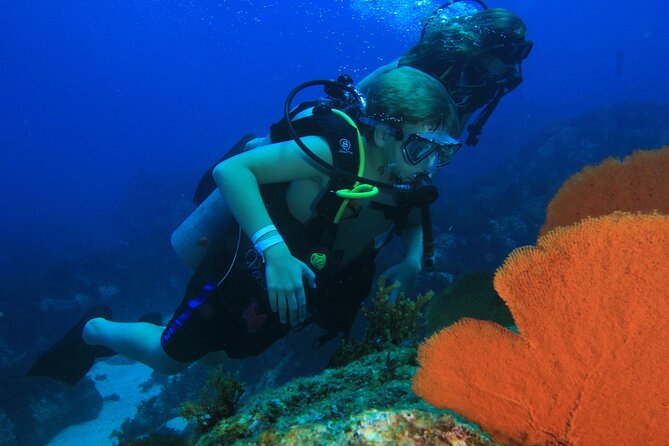 Private Beginner Scuba Diving Experience in Cabo San Lucas - The Value Equation: What $175 Buys You in Cabo