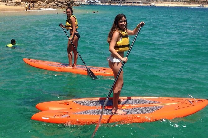 Private Cabo 35ft cat experience Food and open bar included! - Pelican Rock: Snorkeling, SUP, and Wildlife Photos