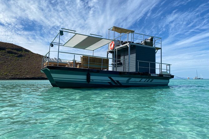 Private Cabo 35ft cat experience Food and open bar included! - The Beach Break: Where You Actually Relax
