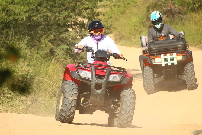 Private Can-am X3 turbo experience + Tequila Tasting - Seeing Sea Turtles and Learning Local Protection Efforts