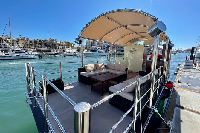 Private Catamaran Escape for 2–6 Guests: Celebrate Your Way - Wildlife spotting and why the crew can make or break it