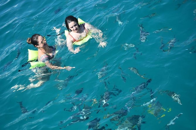 Private Catamaran Snorkeling Cruise in Los Cabos - Price Check: Is $950 a Good Value for Up to 10?