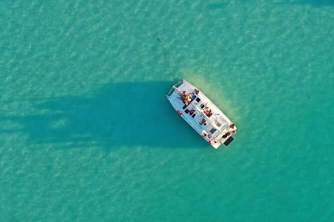 Private Catamaran Tour - Isla de los Pájaros: the calm bird finale