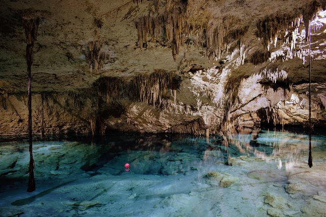 Private Cenote & Snorkeling Tour with Turtles in Akumal - Who This Tour Fits Best, and Who Might Want a Different Plan