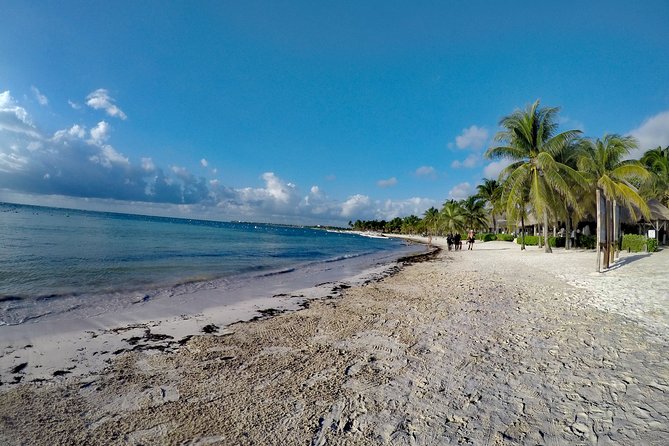Private Cenote & Snorkeling Tour with Turtles in Akumal - Private Pickup, Round-Trip Transfers, and the Real Cost of Self-Driving