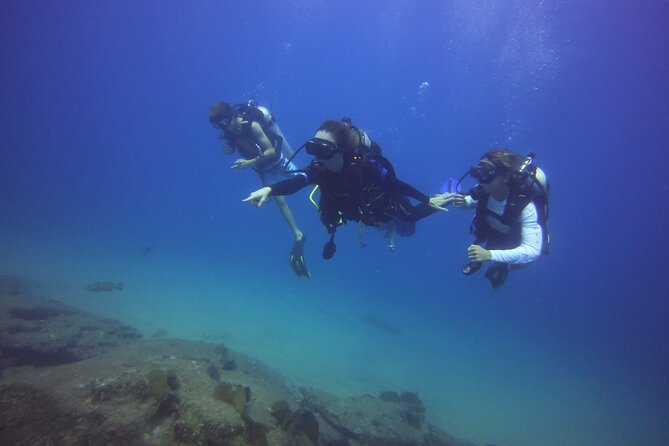 Private Dive Boat for Certified Divers - Cabo San Lucas - A Private Boat With Cabo Marina Convenience