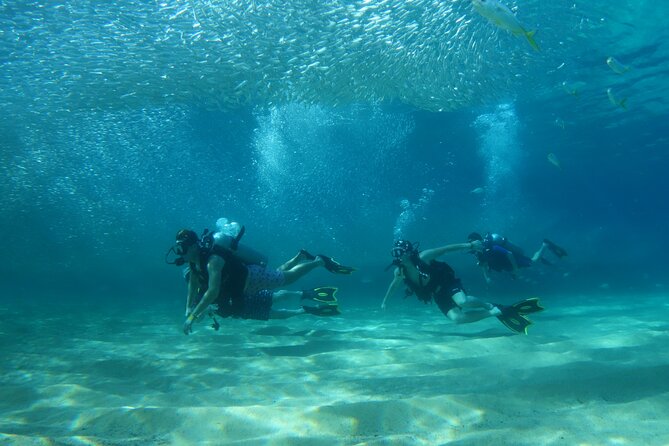 Private Dive Boat for Certified Divers - Cabo San Lucas - What the Schedule Feels Like Once You’re Underway