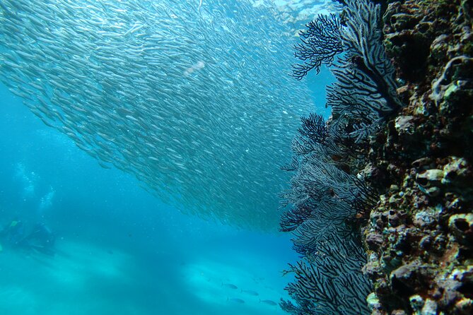 Private Dive Boat for Certified Divers - Cabo San Lucas - Boat Comfort: Snacks, Drinks, and Small Conveniences