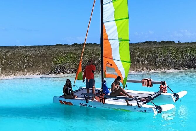 Private Eco-Tour on a Recreational Catamaran with Kayaks Included - Who this private eco tour is best for