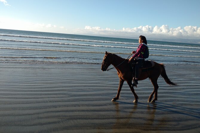 Private excursion to the bufadora and horseback riding on the beach - The Market at La Bufadora: Shop Smart or It Can Feel Like a Gauntlet