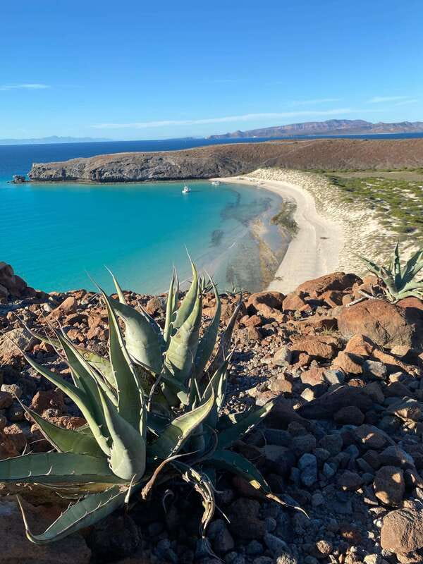 Private experience from Cabo San Lucas to La Paz: (Balandra beach) - Key points worth factoring in